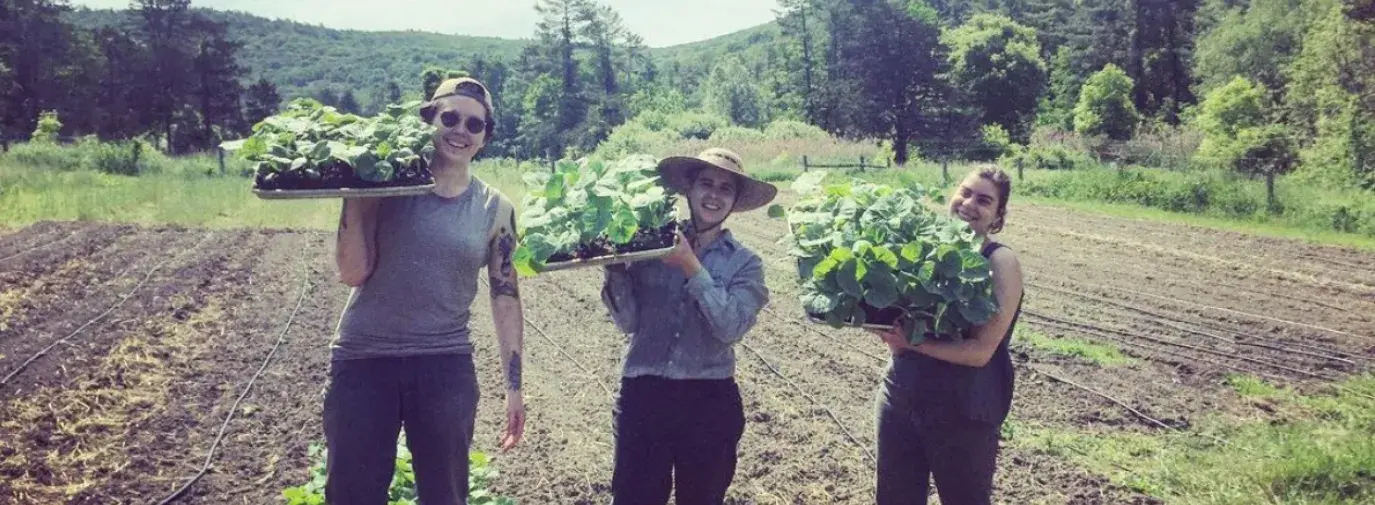 Three Adamah Farm Fellows with their bounty hoisted on their shoulders.  